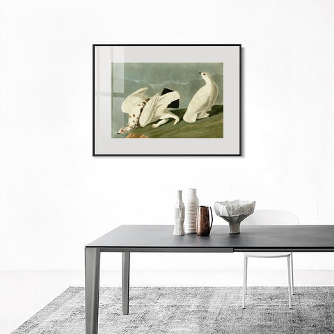INVIN ART Metal Framed Canvas Giclee Print White tailed Grous by John James Audubon Wall Art Living Room Home Office Decorations