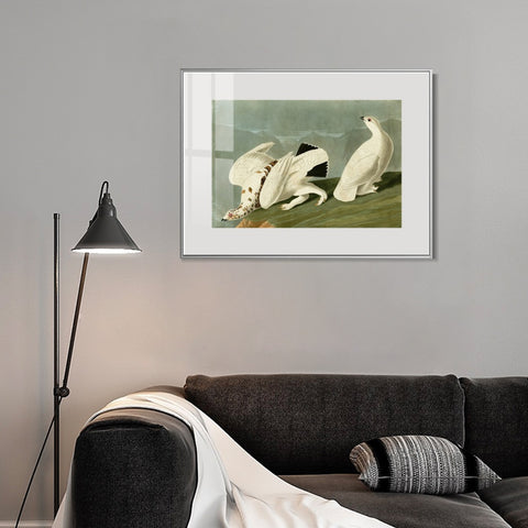 INVIN ART Metal Framed Canvas Giclee Print White tailed Grous by John James Audubon Wall Art Living Room Home Office Decorations