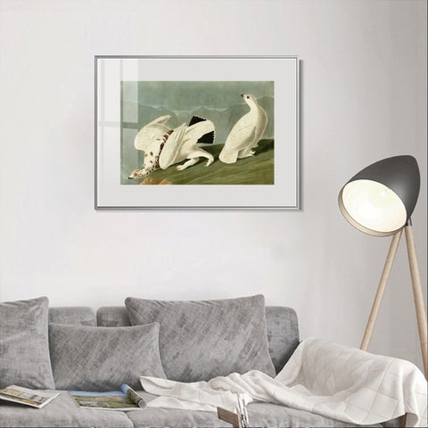 INVIN ART Metal Framed Canvas Giclee Print White tailed Grous by John James Audubon Wall Art Living Room Home Office Decorations