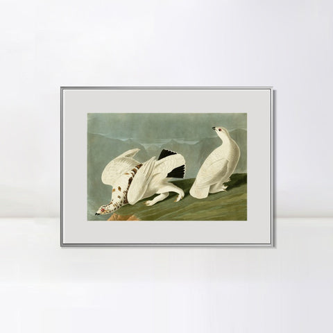 INVIN ART Metal Framed Canvas Giclee Print White tailed Grous by John James Audubon Wall Art Living Room Home Office Decorations
