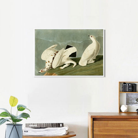INVIN ART Framed Canvas Giclee Print White tailed Grous by John James Audubon Wall Art Living Room Home Office Decorations