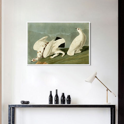 INVIN ART Framed Canvas Giclee Print White tailed Grous by John James Audubon Wall Art Living Room Home Office Decorations