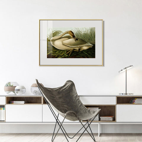 INVIN ART Metal Framed Canvas Giclee Print Trumpeter Swan by John James Audubon Wall Art Living Room Home Office Decorations