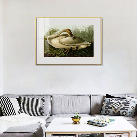 INVIN ART Metal Framed Canvas Giclee Print Trumpeter Swan by John James Audubon Wall Art Living Room Home Office Decorations