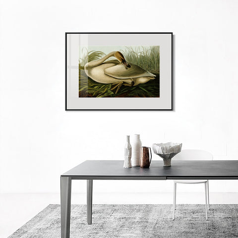 INVIN ART Metal Framed Canvas Giclee Print Trumpeter Swan by John James Audubon Wall Art Living Room Home Office Decorations