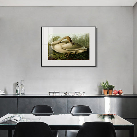 INVIN ART Metal Framed Canvas Giclee Print Trumpeter Swan by John James Audubon Wall Art Living Room Home Office Decorations
