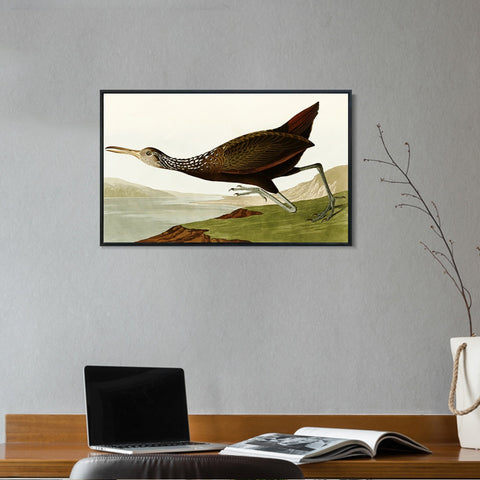 INVIN ART Framed Canvas Giclee Print Water Marsh Hen by John James Audubon Wall Art Living Room Home Office Decorations