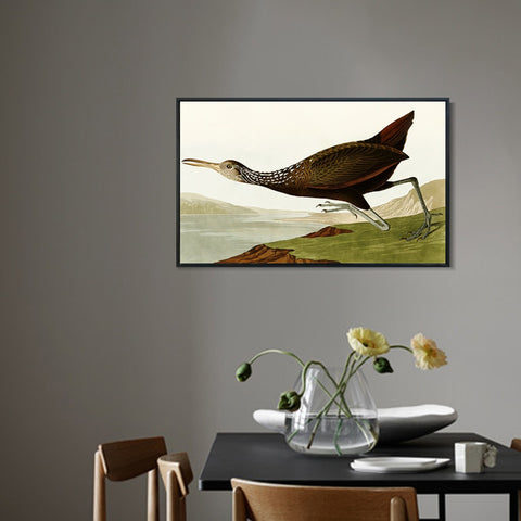INVIN ART Framed Canvas Giclee Print Water Marsh Hen by John James Audubon Wall Art Living Room Home Office Decorations