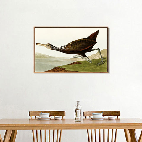 INVIN ART Framed Canvas Giclee Print Water Marsh Hen by John James Audubon Wall Art Living Room Home Office Decorations