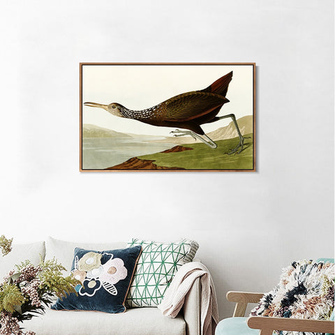 INVIN ART Framed Canvas Giclee Print Water Marsh Hen by John James Audubon Wall Art Living Room Home Office Decorations