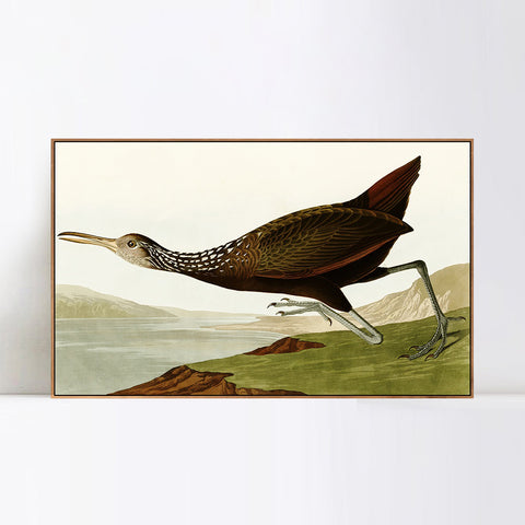 INVIN ART Framed Canvas Giclee Print Water Marsh Hen by John James Audubon Wall Art Living Room Home Office Decorations