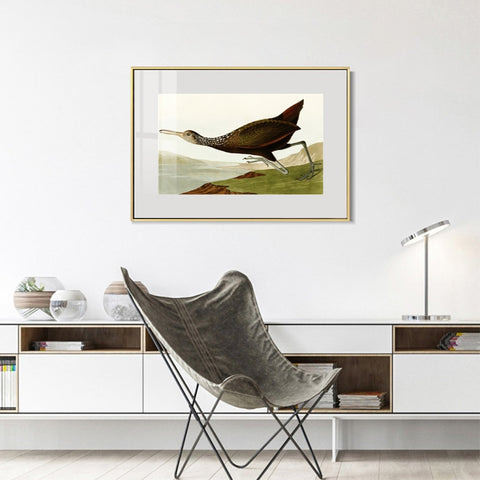 INVIN ART Metal Framed Canvas Giclee Print Water Marsh Hen by John James Audubon Wall Art Living Room Home Office Decorations