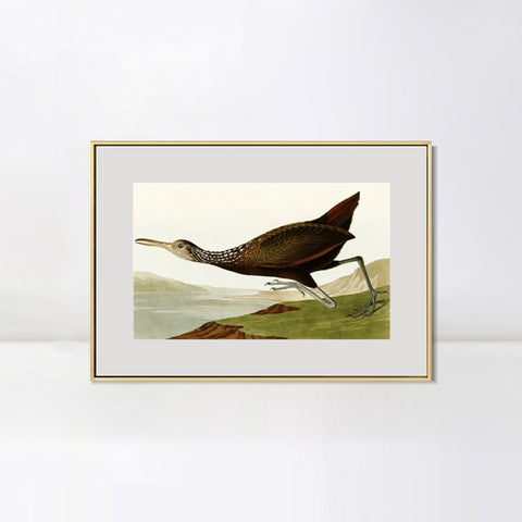 INVIN ART Metal Framed Canvas Giclee Print Water Marsh Hen by John James Audubon Wall Art Living Room Home Office Decorations
