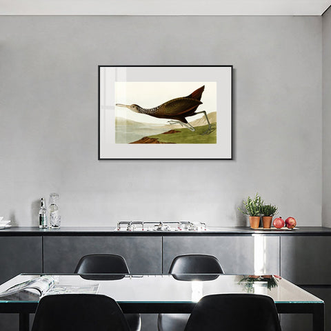 INVIN ART Metal Framed Canvas Giclee Print Water Marsh Hen by John James Audubon Wall Art Living Room Home Office Decorations