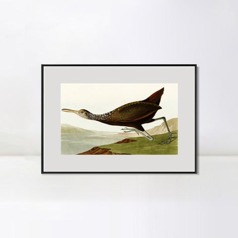 INVIN ART Metal Framed Canvas Giclee Print Water Marsh Hen by John James Audubon Wall Art Living Room Home Office Decorations