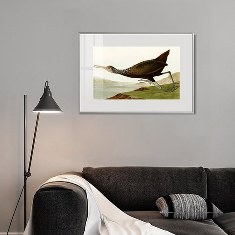 INVIN ART Metal Framed Canvas Giclee Print Water Marsh Hen by John James Audubon Wall Art Living Room Home Office Decorations