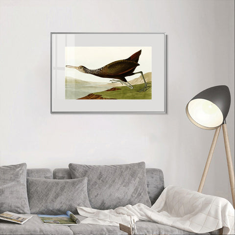 INVIN ART Metal Framed Canvas Giclee Print Water Marsh Hen by John James Audubon Wall Art Living Room Home Office Decorations