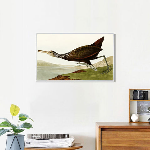 INVIN ART Framed Canvas Giclee Print Water Marsh Hen by John James Audubon Wall Art Living Room Home Office Decorations