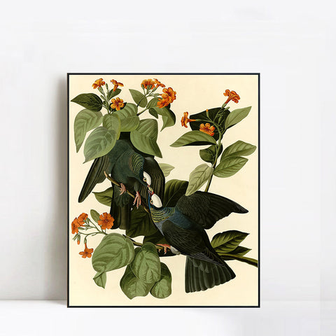 INVIN ART Framed Canvas Giclee Print Series#81 by John James Audubon Wall Art Living Room Home Office Decorations