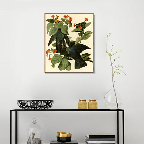 INVIN ART Framed Canvas Giclee Print Series#81 by John James Audubon Wall Art Living Room Home Office Decorations