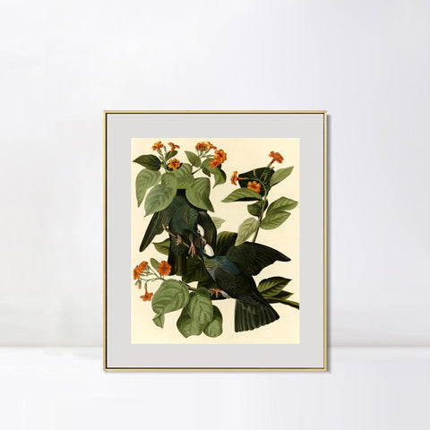 INVIN ART Metal Framed Canvas Giclee Print Series#81 by John James Audubon Wall Art Living Room Home Office Decorations