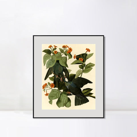 INVIN ART Metal Framed Canvas Giclee Print Series#81 by John James Audubon Wall Art Living Room Home Office Decorations