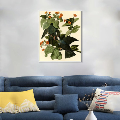 INVIN ART Framed Canvas Giclee Print Series#81 by John James Audubon Wall Art Living Room Home Office Decorations
