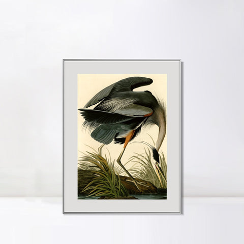 INVIN ART Metal Framed Canvas Giclee Print Great blue Heron by John James Audubon Wall Art Living Room Home Office Decorations