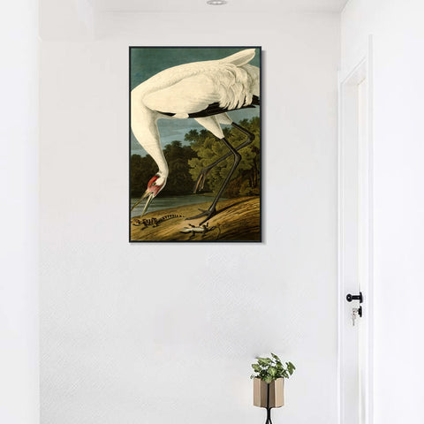 INVIN ART Framed Canvas Giclee Print White Heron#83 by John James Audubon Wall Art Living Room Home Office Decorations