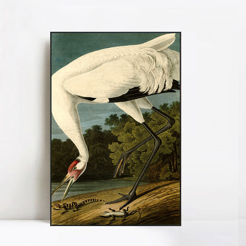 INVIN ART Framed Canvas Giclee Print White Heron#83 by John James Audubon Wall Art Living Room Home Office Decorations