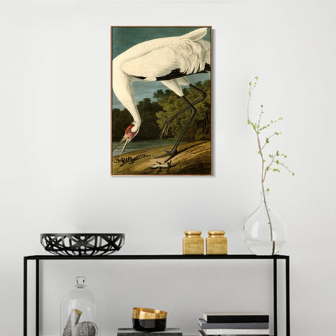 INVIN ART Framed Canvas Giclee Print White Heron#83 by John James Audubon Wall Art Living Room Home Office Decorations