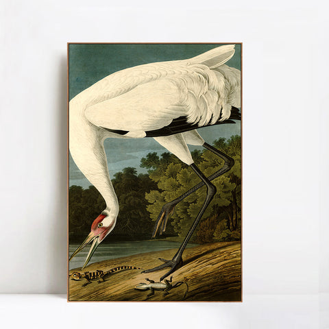 INVIN ART Framed Canvas Giclee Print White Heron#83 by John James Audubon Wall Art Living Room Home Office Decorations