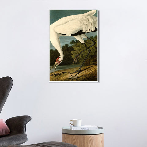 INVIN ART Framed Canvas Giclee Print White Heron#83 by John James Audubon Wall Art Living Room Home Office Decorations
