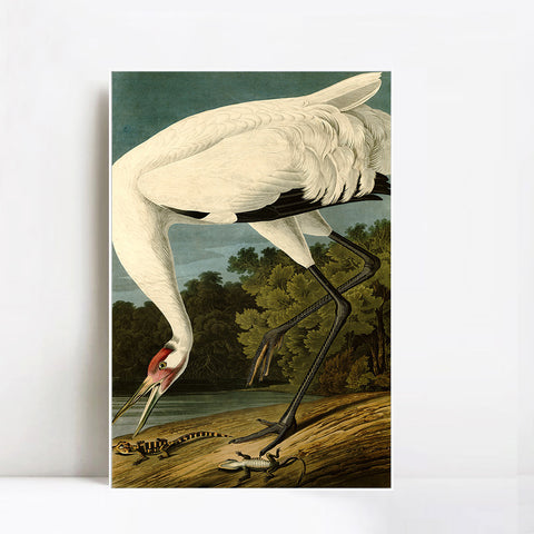 INVIN ART Framed Canvas Giclee Print White Heron#83 by John James Audubon Wall Art Living Room Home Office Decorations