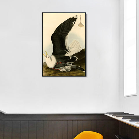 INVIN ART Framed Canvas Giclee Print Black Backed Gull by John James Audubon Wall Art Living Room Home Office Decorations