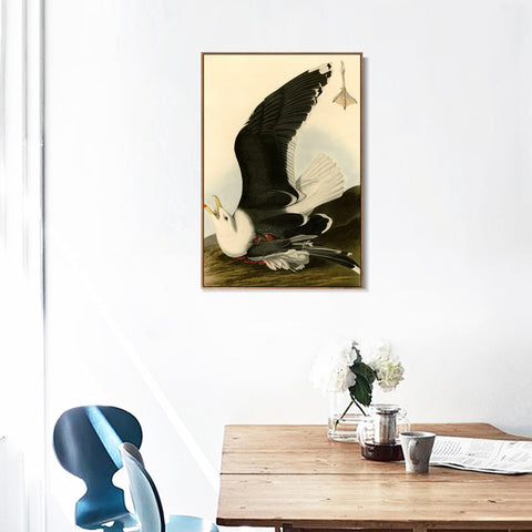 INVIN ART Framed Canvas Giclee Print Black Backed Gull by John James Audubon Wall Art Living Room Home Office Decorations