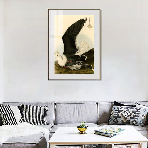 INVIN ART Metal Framed Canvas Giclee Print Black Backed Gull by John James Audubon Wall Art Living Room Home Office Decorations