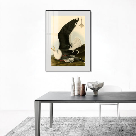 INVIN ART Metal Framed Canvas Giclee Print Black Backed Gull by John James Audubon Wall Art Living Room Home Office Decorations