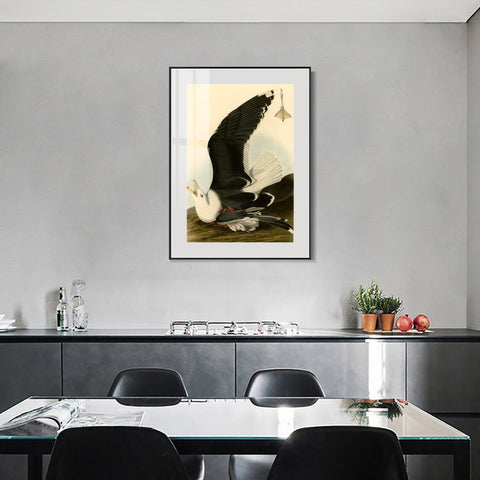 INVIN ART Metal Framed Canvas Giclee Print Black Backed Gull by John James Audubon Wall Art Living Room Home Office Decorations
