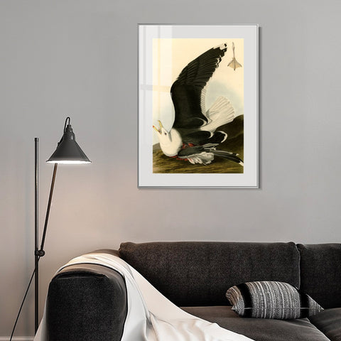 INVIN ART Metal Framed Canvas Giclee Print Black Backed Gull by John James Audubon Wall Art Living Room Home Office Decorations