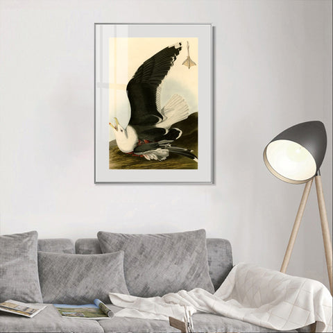 INVIN ART Metal Framed Canvas Giclee Print Black Backed Gull by John James Audubon Wall Art Living Room Home Office Decorations