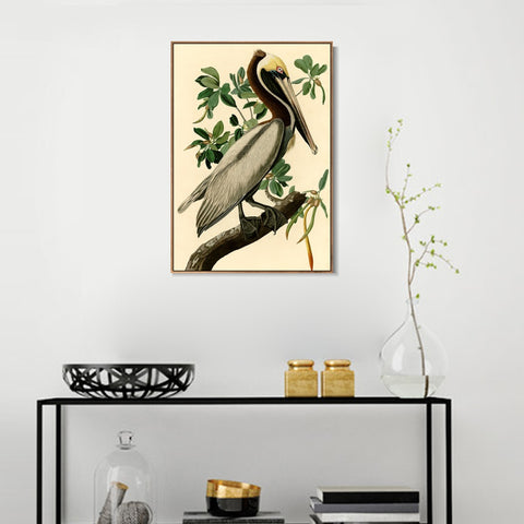INVIN ART Framed Canvas Giclee Print Brown Pelican by John James Audubon Wall Art Living Room Home Office Decorations
