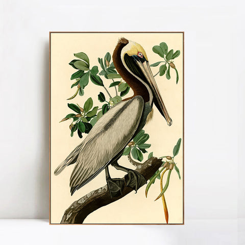 INVIN ART Framed Canvas Giclee Print Brown Pelican by John James Audubon Wall Art Living Room Home Office Decorations