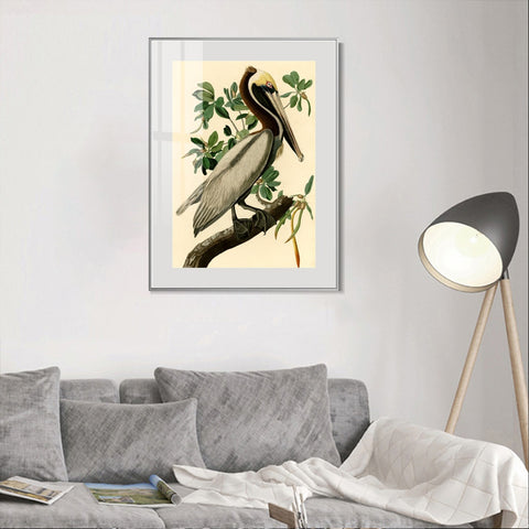 INVIN ART Metal Framed Canvas Giclee Print Brown Pelican by John James Audubon Wall Art Living Room Home Office Decorations