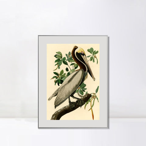 INVIN ART Metal Framed Canvas Giclee Print Brown Pelican by John James Audubon Wall Art Living Room Home Office Decorations