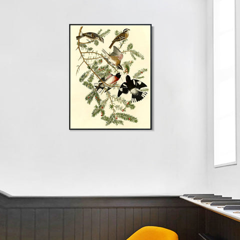 INVIN ART Framed Canvas Giclee Print Rose breasted Grosbeak by John James Audubon Wall Art Living Room Home Office Decorations
