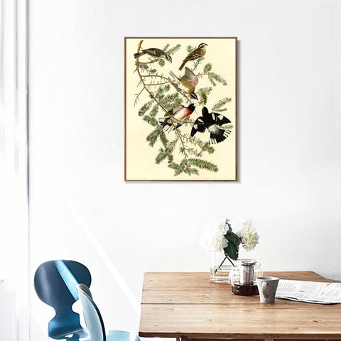 INVIN ART Framed Canvas Giclee Print Rose breasted Grosbeak by John James Audubon Wall Art Living Room Home Office Decorations