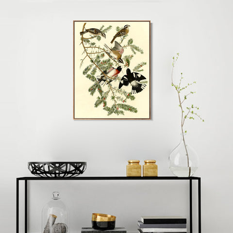 INVIN ART Framed Canvas Giclee Print Rose breasted Grosbeak by John James Audubon Wall Art Living Room Home Office Decorations