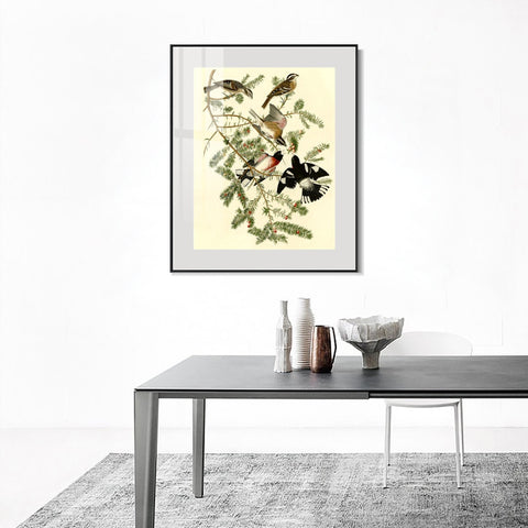 INVIN ART Metal Framed Canvas Giclee Print Rose breasted Grosbeak by John James Audubon Wall Art Living Room Home Office Decorations