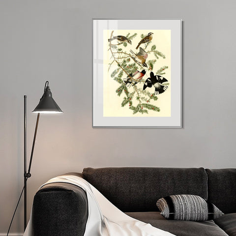 INVIN ART Metal Framed Canvas Giclee Print Rose breasted Grosbeak by John James Audubon Wall Art Living Room Home Office Decorations